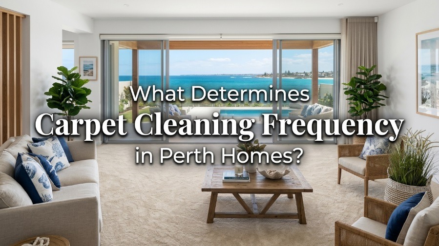 How Often Should Carpets Be Cleaned